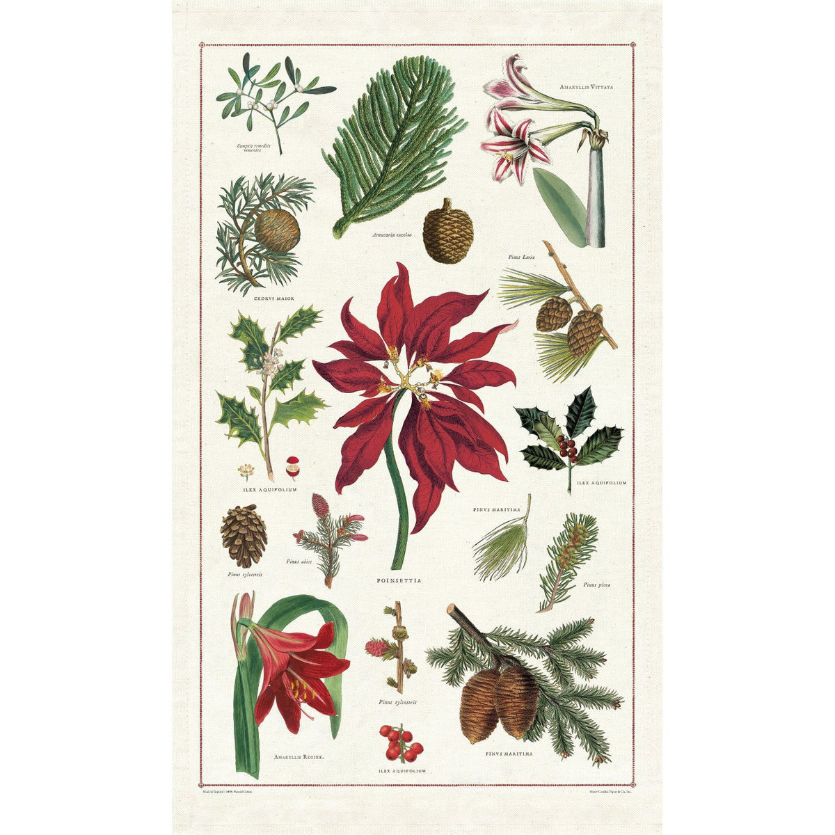 Botanical Christmas Tea Towel