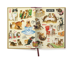 Cat Window Journal