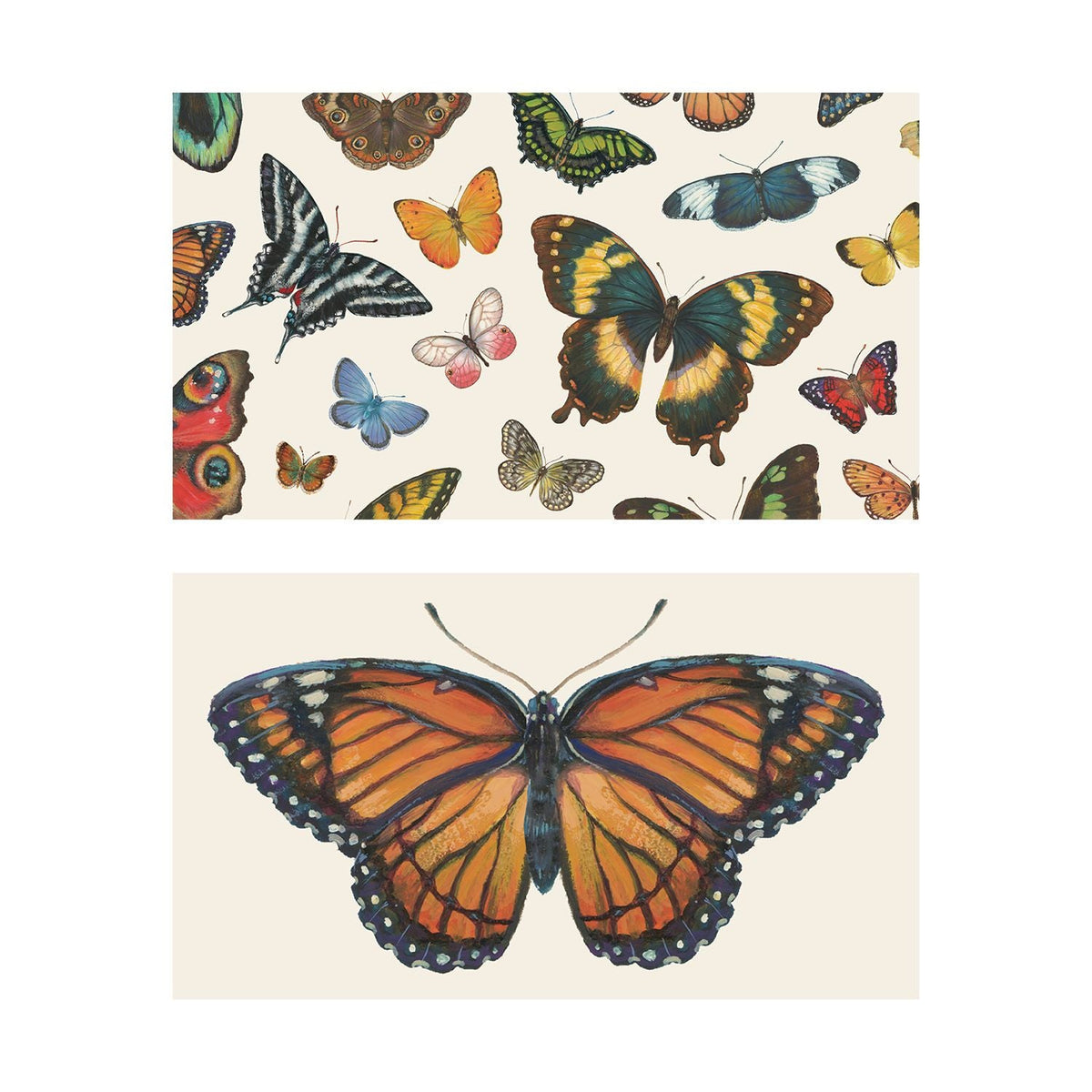Butterfly Tiny Notes