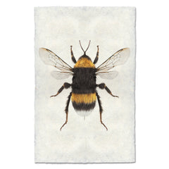 Bumblebee Art Print