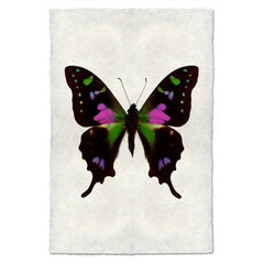Butterfly #2 Art Print