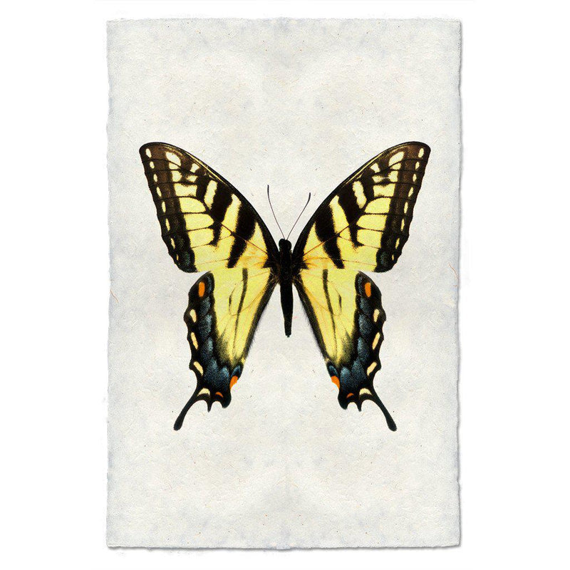Butterfly #3 Art Print