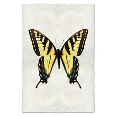 Butterfly #3 Art Print