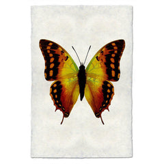 Butterfly #4 Art Print