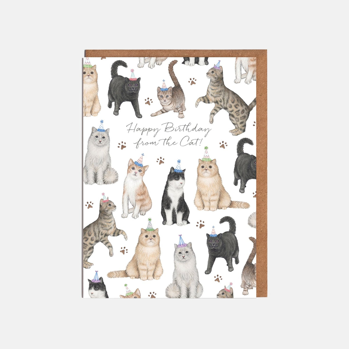 Cat Birthday Card