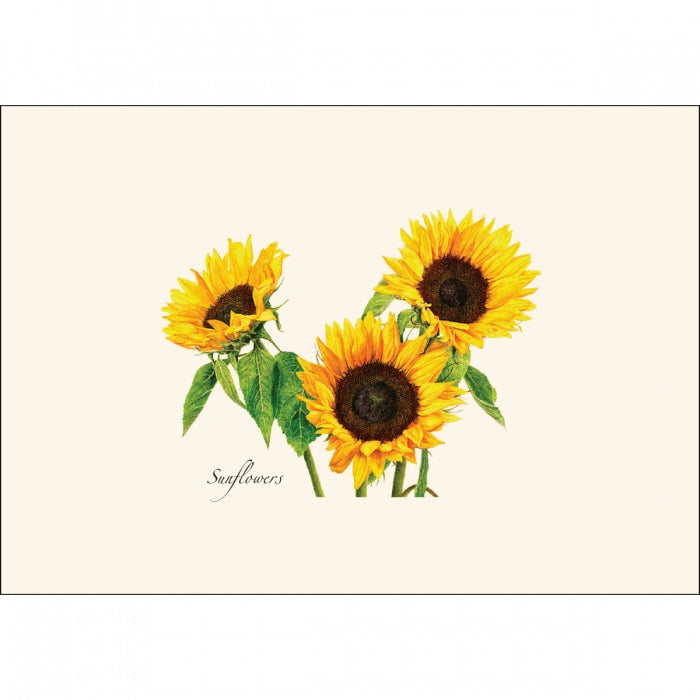 3 Sunflowers Notecard Set