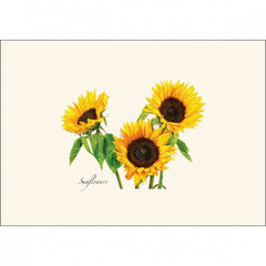 3 Sunflowers Notecard Set