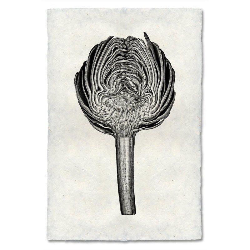Artichoke Art Print