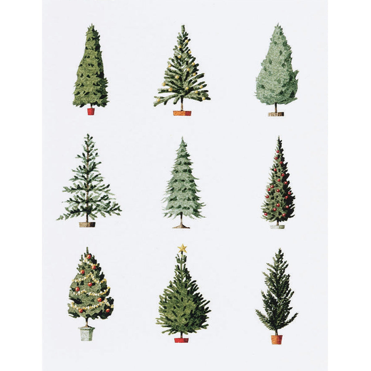 Christmas Trees Greeting Card