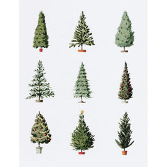 Christmas Trees Greeting Card
