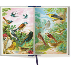 Birdwatching Window Journal